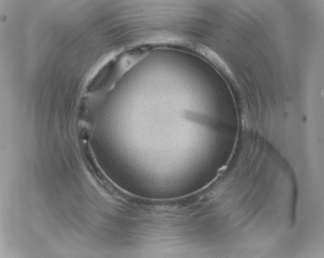 X0000077360436200611171927