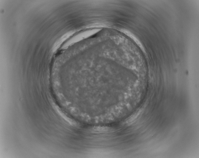 X0000077360437200611171927