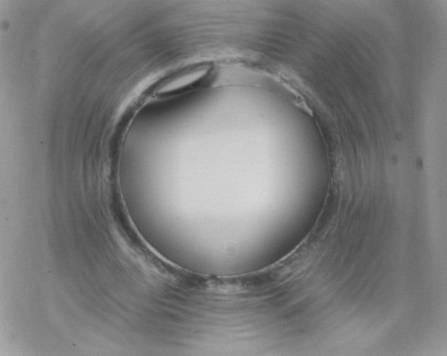 X0000077360440200611171927