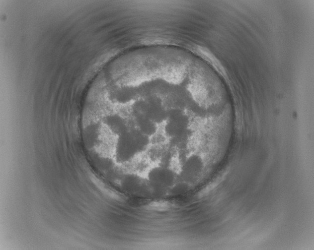 X0000077360441200611171927