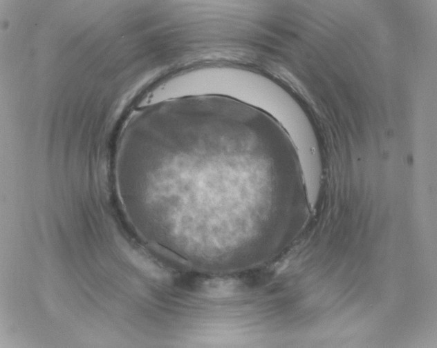 X0000077360444200611171927