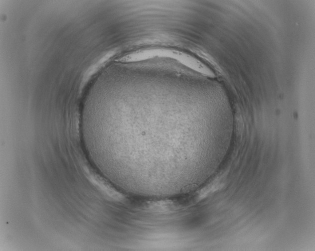 X0000077360446200611171927