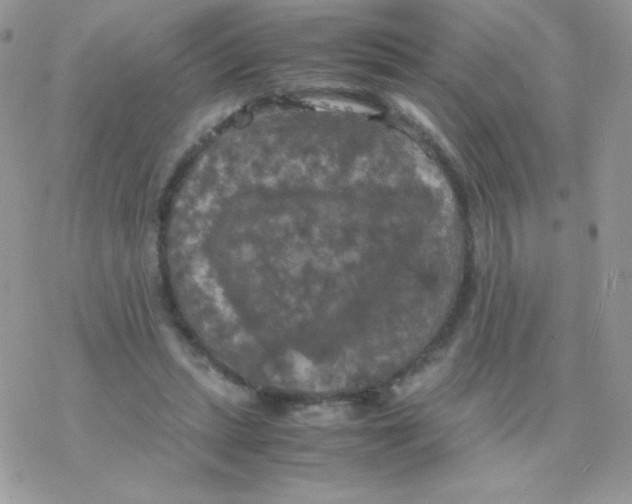 X0000077360447200611171927