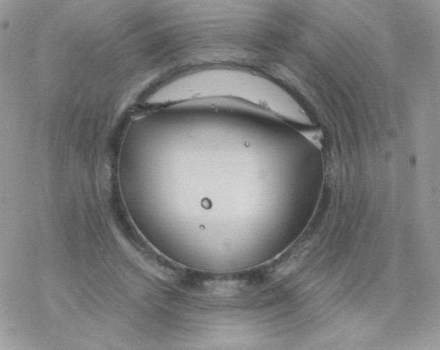 X0000077360448200611171927