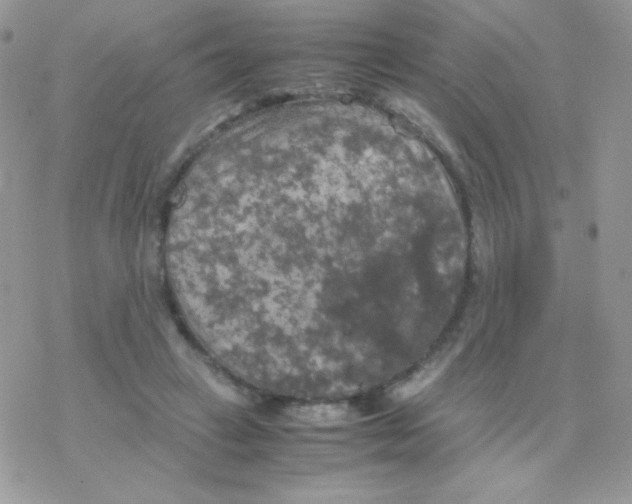 X0000077360449200611171927