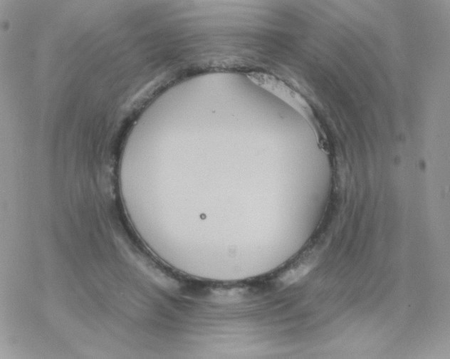 X0000077360450200611171927