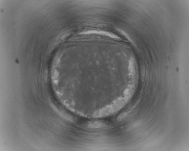 X0000077360451200611171927