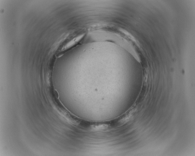 X0000077360452200611171927