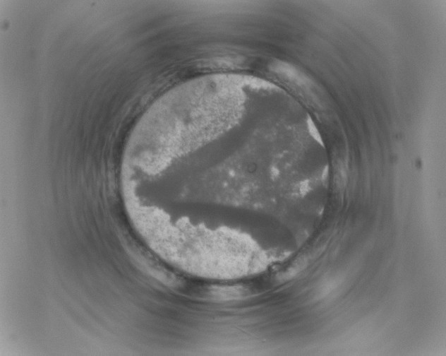 X0000077360457200611171927