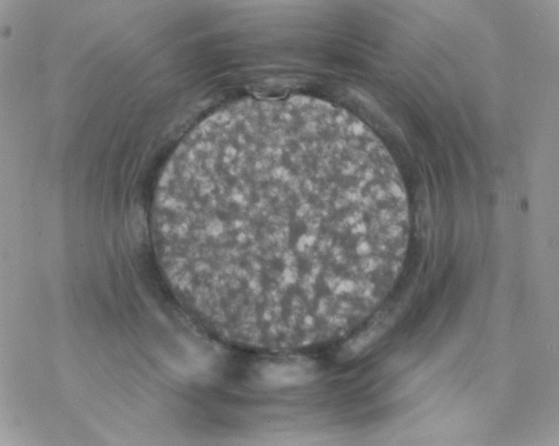 X0000077360459200611171927