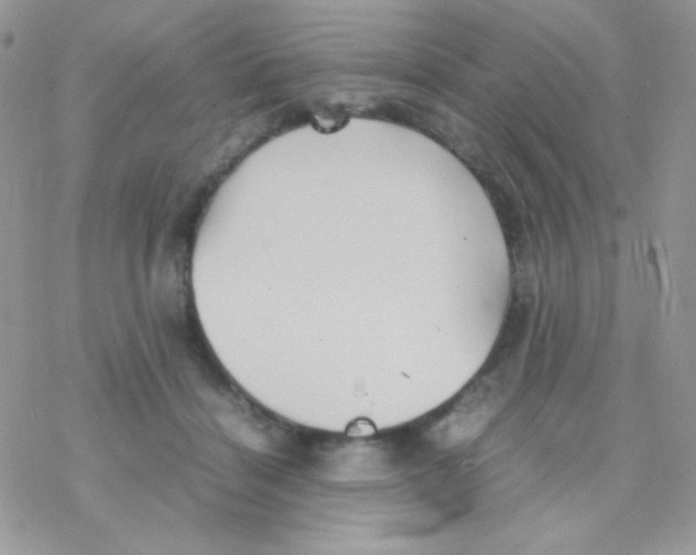 X0000077360460200611171927