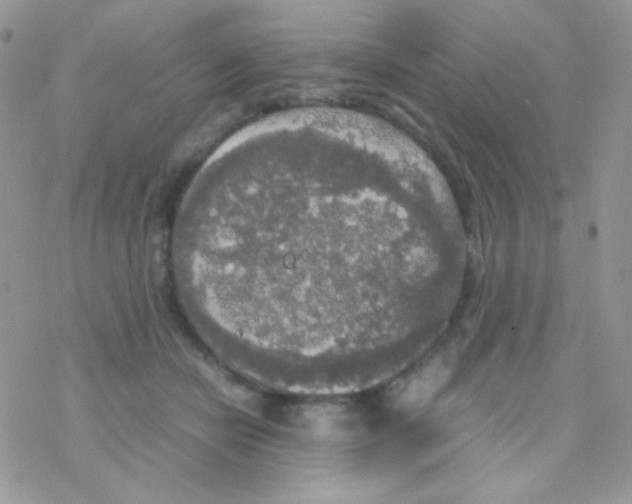 X0000077360462200611171927