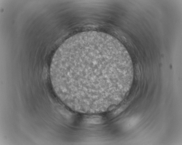 X0000077360463200611171927