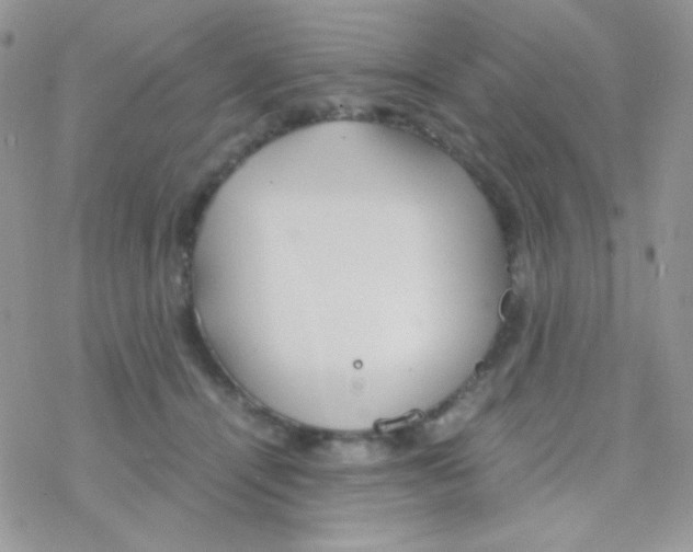 X0000077360464200611171927