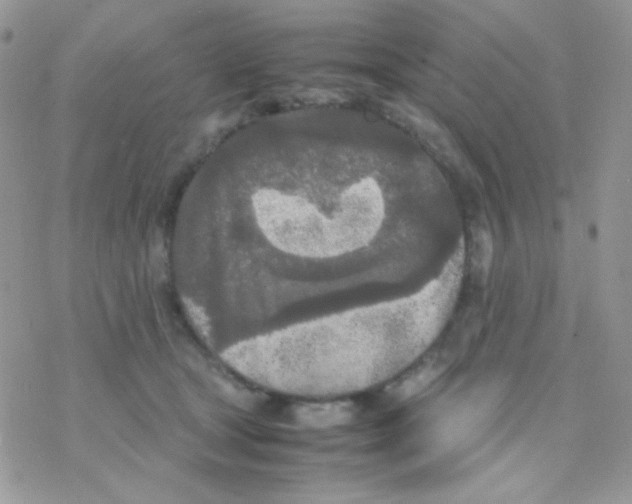 X0000077360465200611171927