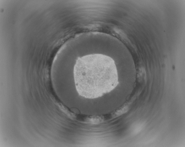 X0000077360466200611171927