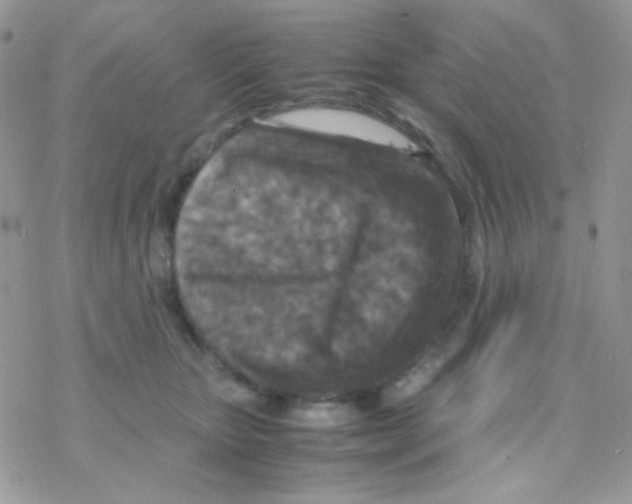 X0000077360467200611171927