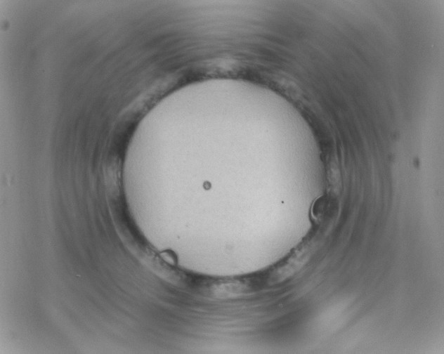 X0000077360468200611171928