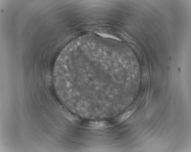 X0000077360469200611171928