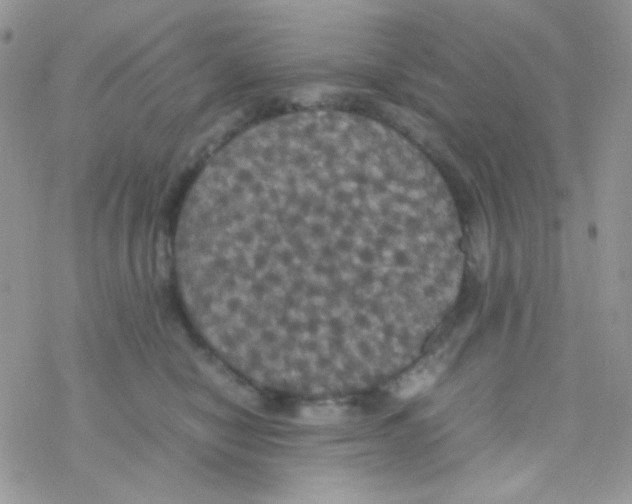 X0000077360470200611171928