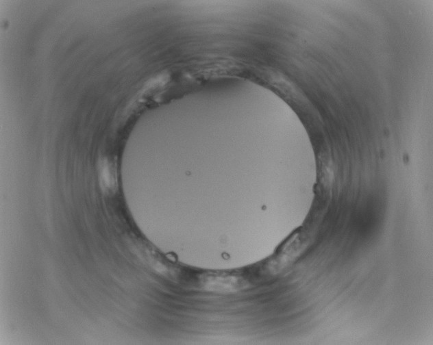 X0000077360471200611171928