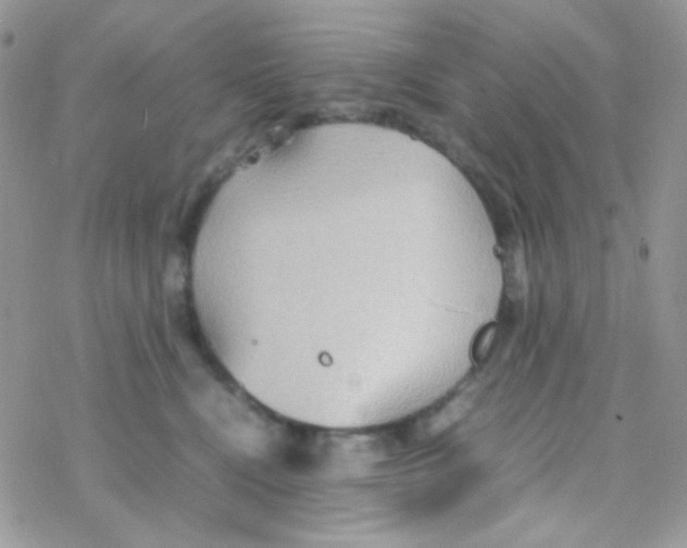 X0000077360472200611171928