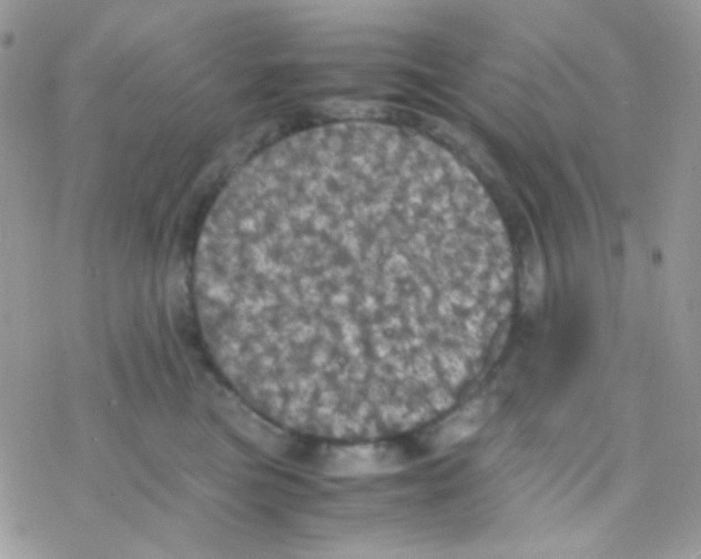 X0000077360473200611171928