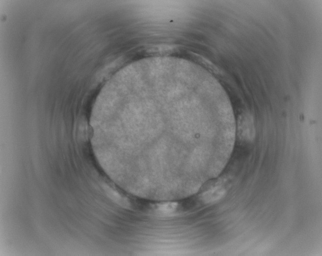 X0000077360474200611171928