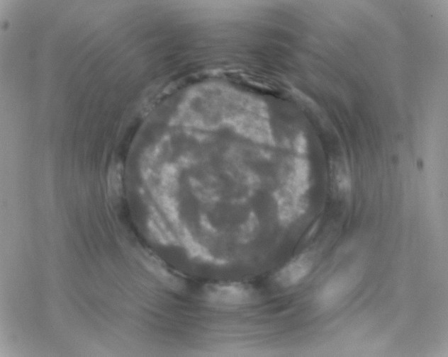 X0000077360475200611171928