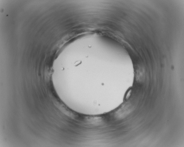 X0000077360476200611171928