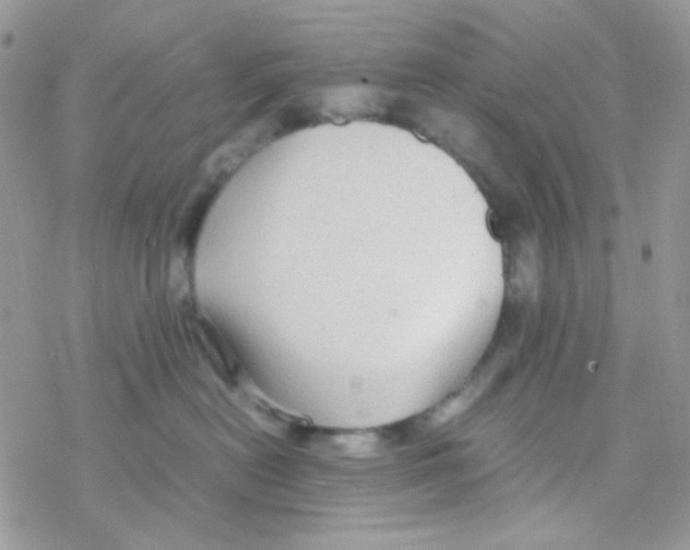 X0000077360478200611171928