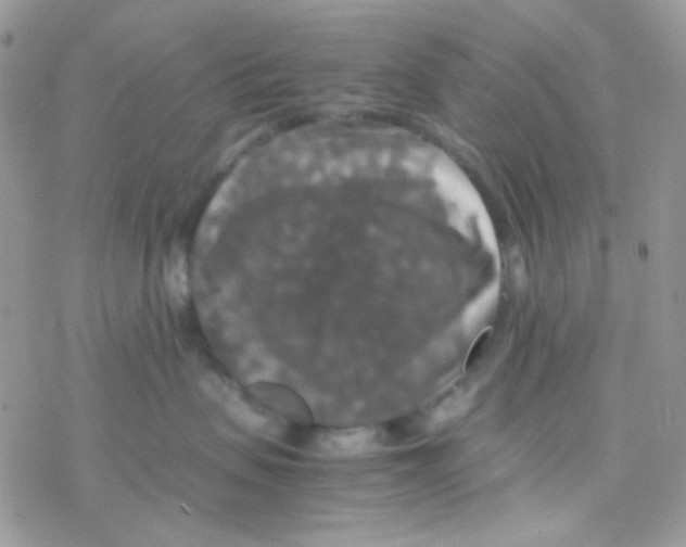 X0000077360479200611171928