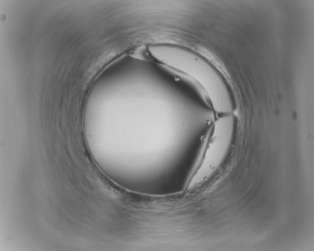 X0000077360481200611171927