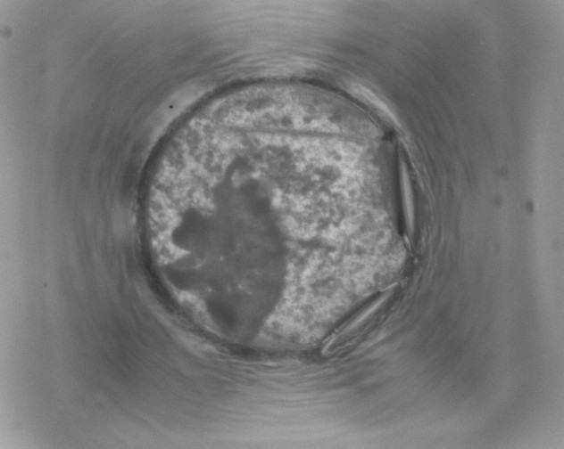 X0000077360483200611171927