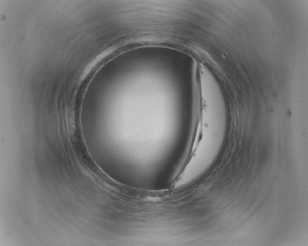 X0000077360484200611171927