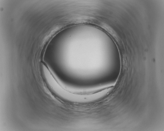 X0000077360485200611171927