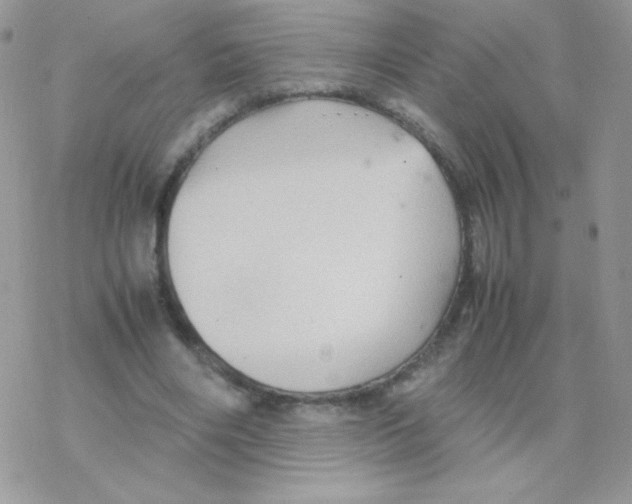 X0000077360490200611171927