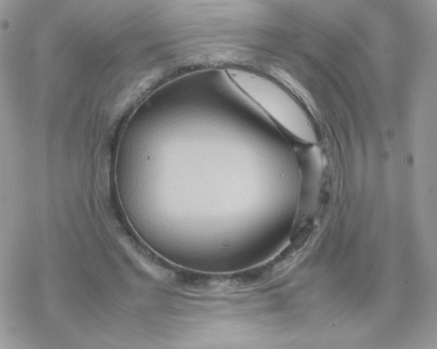 X0000077360493200611171927