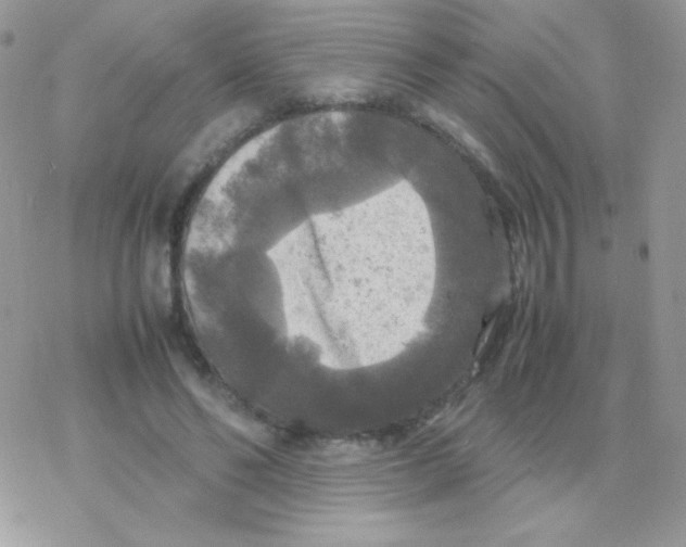 X0000077360494200611171927