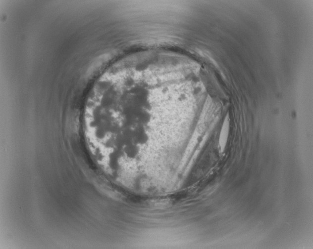 X0000077360495200611171927