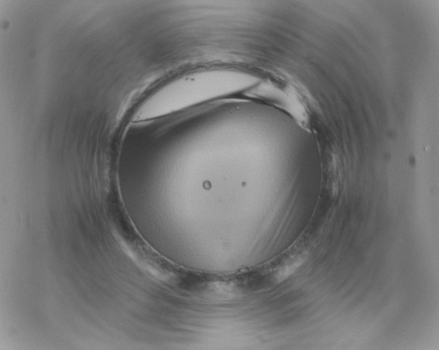 X0000077360496200611171927