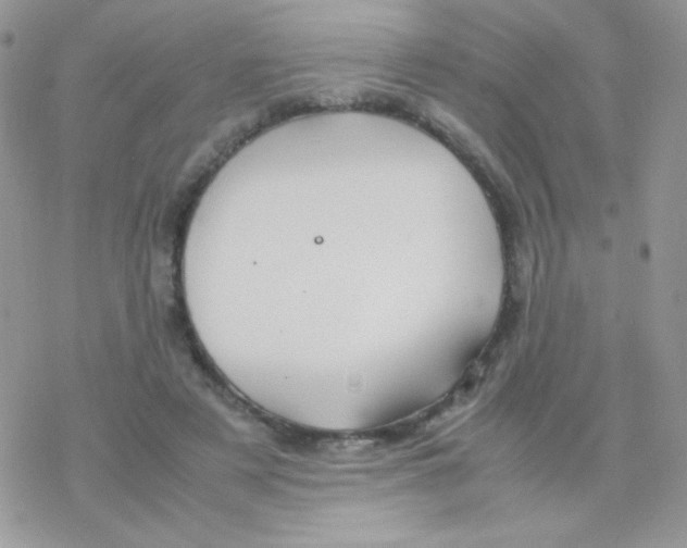 X0000077360497200611171927