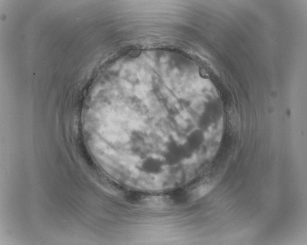 X0000077360499200611171927