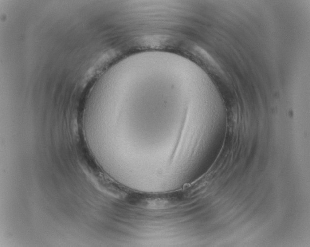 X0000077360500200611171927