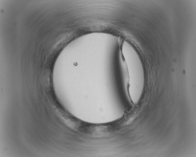 X0000077360501200611171927