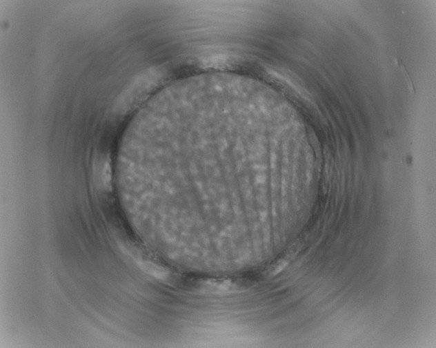 X0000077360502200611171927