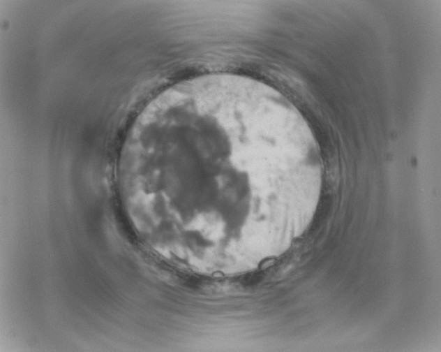 X0000077360503200611171927