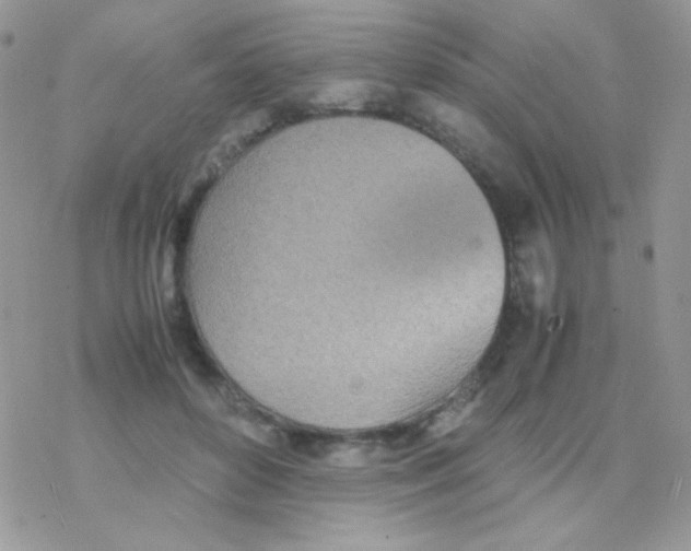 X0000077360504200611171927