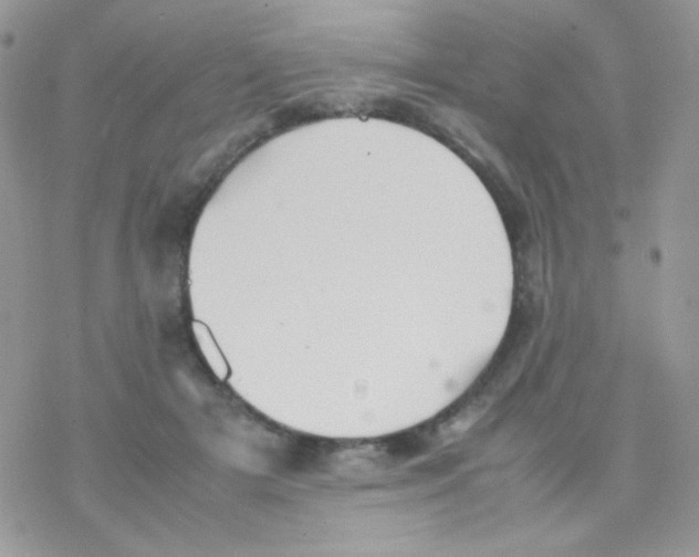 X0000077360505200611171927