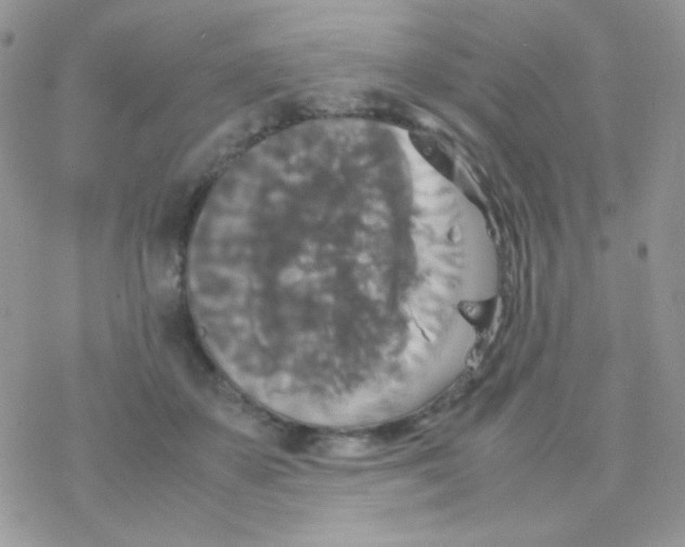 X0000077360507200611171926